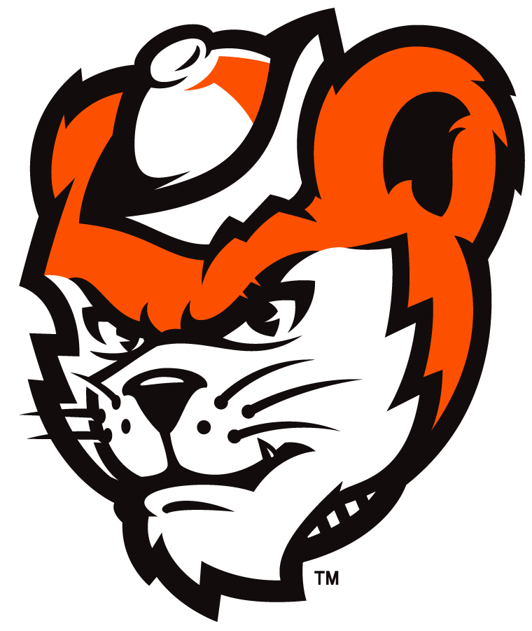 Sam Houston State Bearkats 2020-Pres Mascot Logo diy iron on heat transfer
